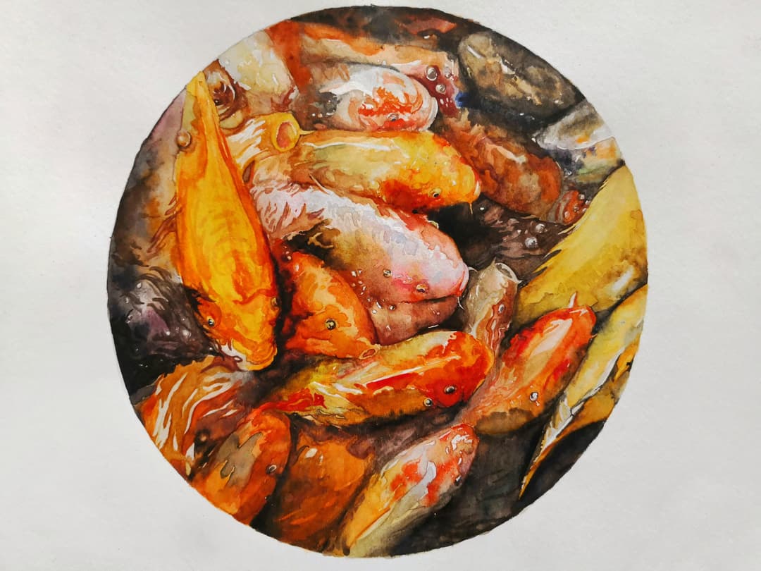 Koi fish watercolor painting