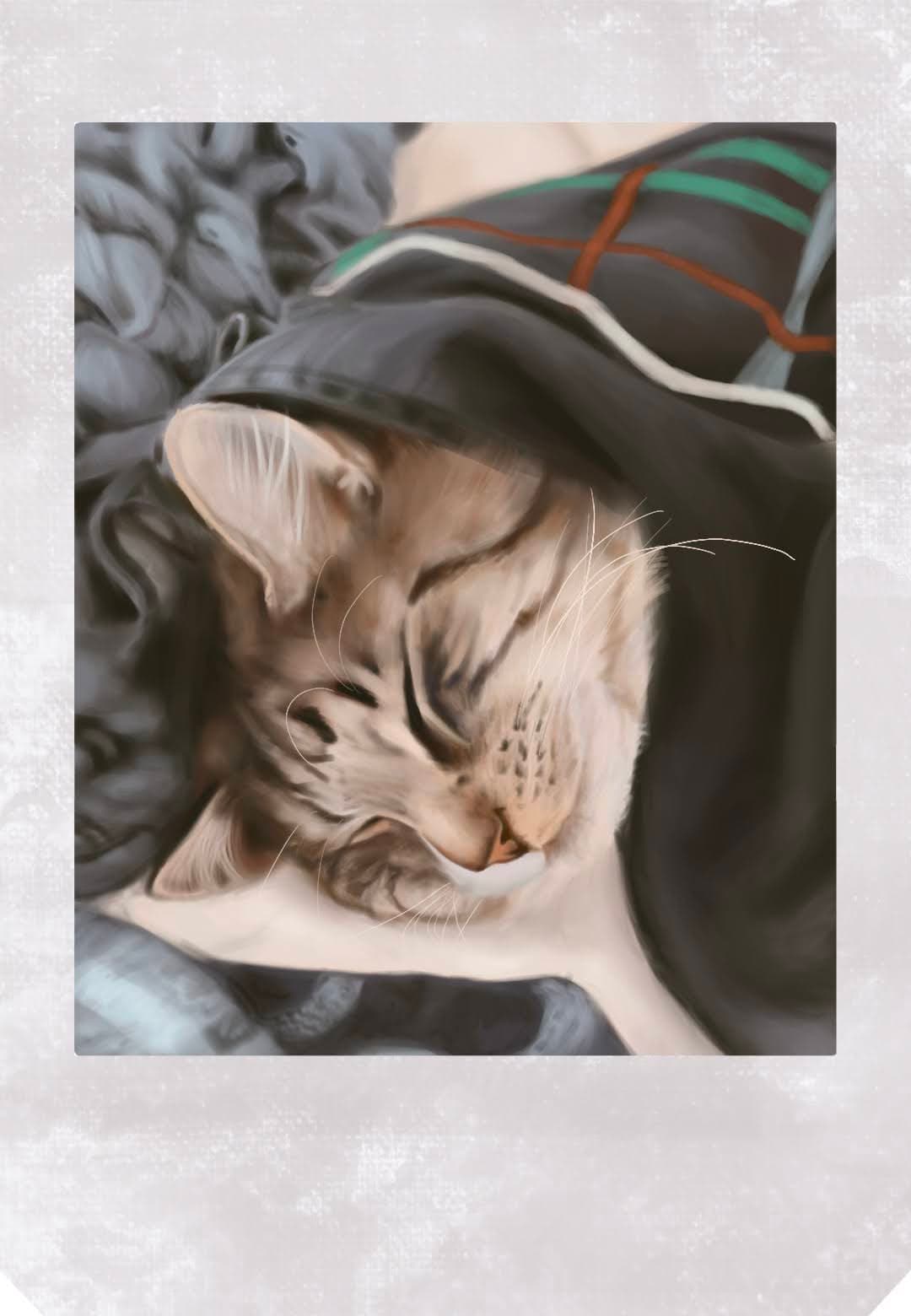 Digital painting of my cat sleeping