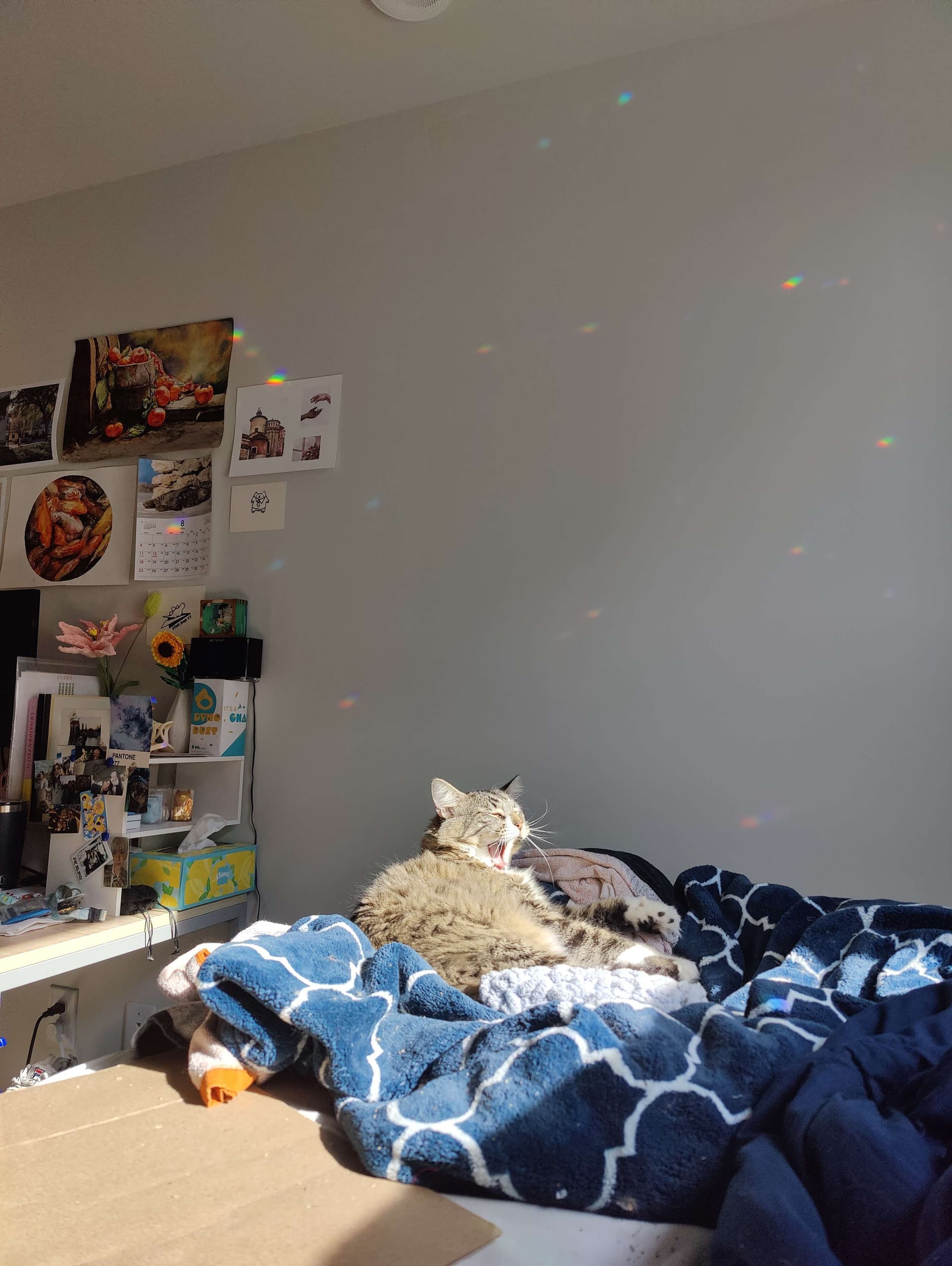 Research Screenshots