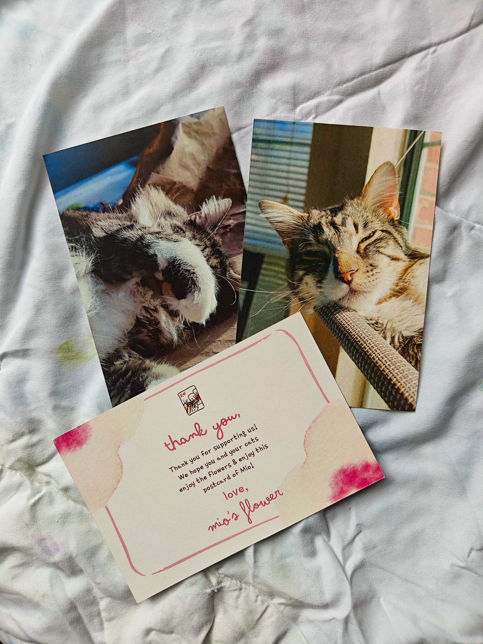 Research Screenshots