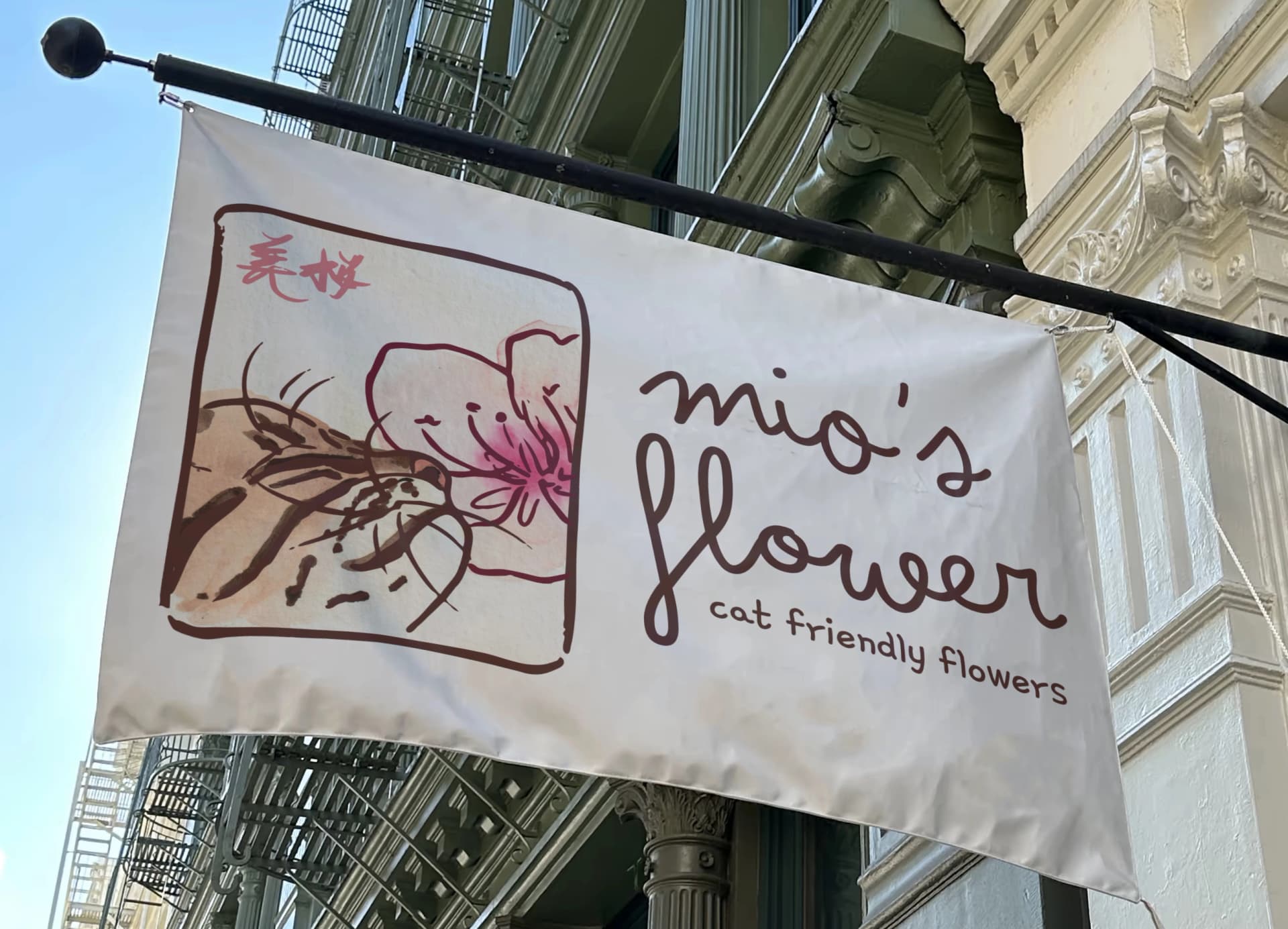 Picture of the graphic