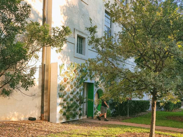 Photo of a plant wall