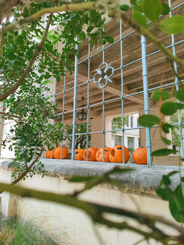Photo of a carved pumpkins on display
