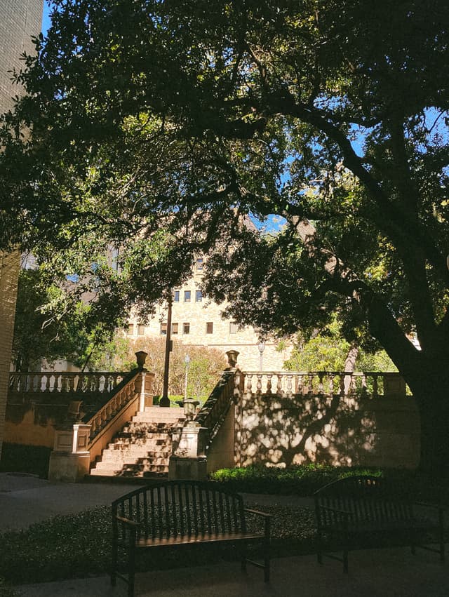 Photo of sunlight through the trees on stairs