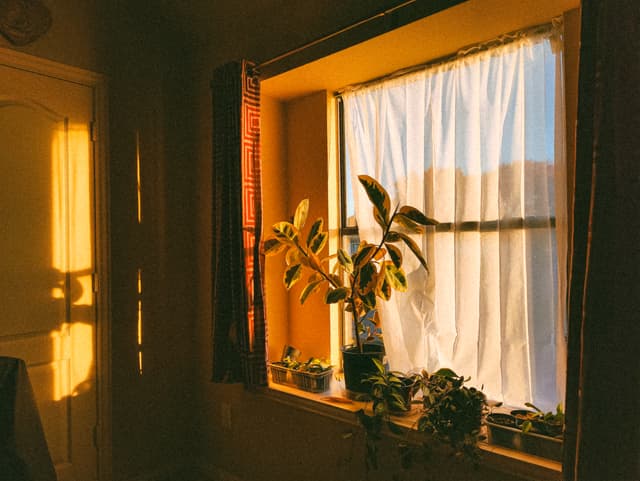 Photo of a bay window