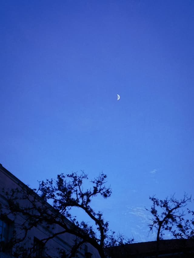Photo of the night sky