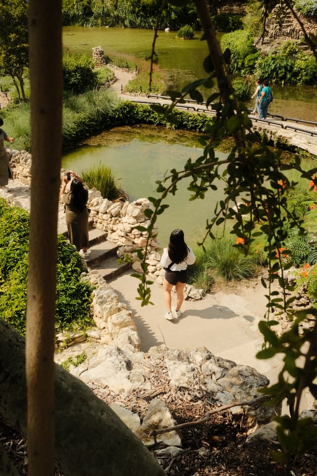 Photo of a girl surrounded by leaves